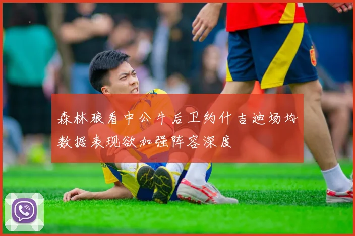 森林狼看中公牛后卫约什吉迪场均数据表现欲加强阵容深度